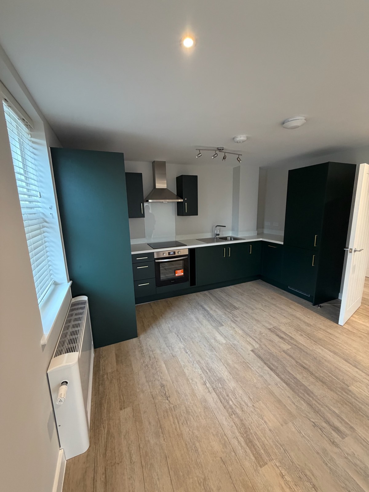 Completed open-plan apartment kitchen with green units, induction hob and extractor hood